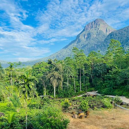 Palabaddala Tea And Eco Lodge รัตนปุระ ภายนอก รูปภาพ
