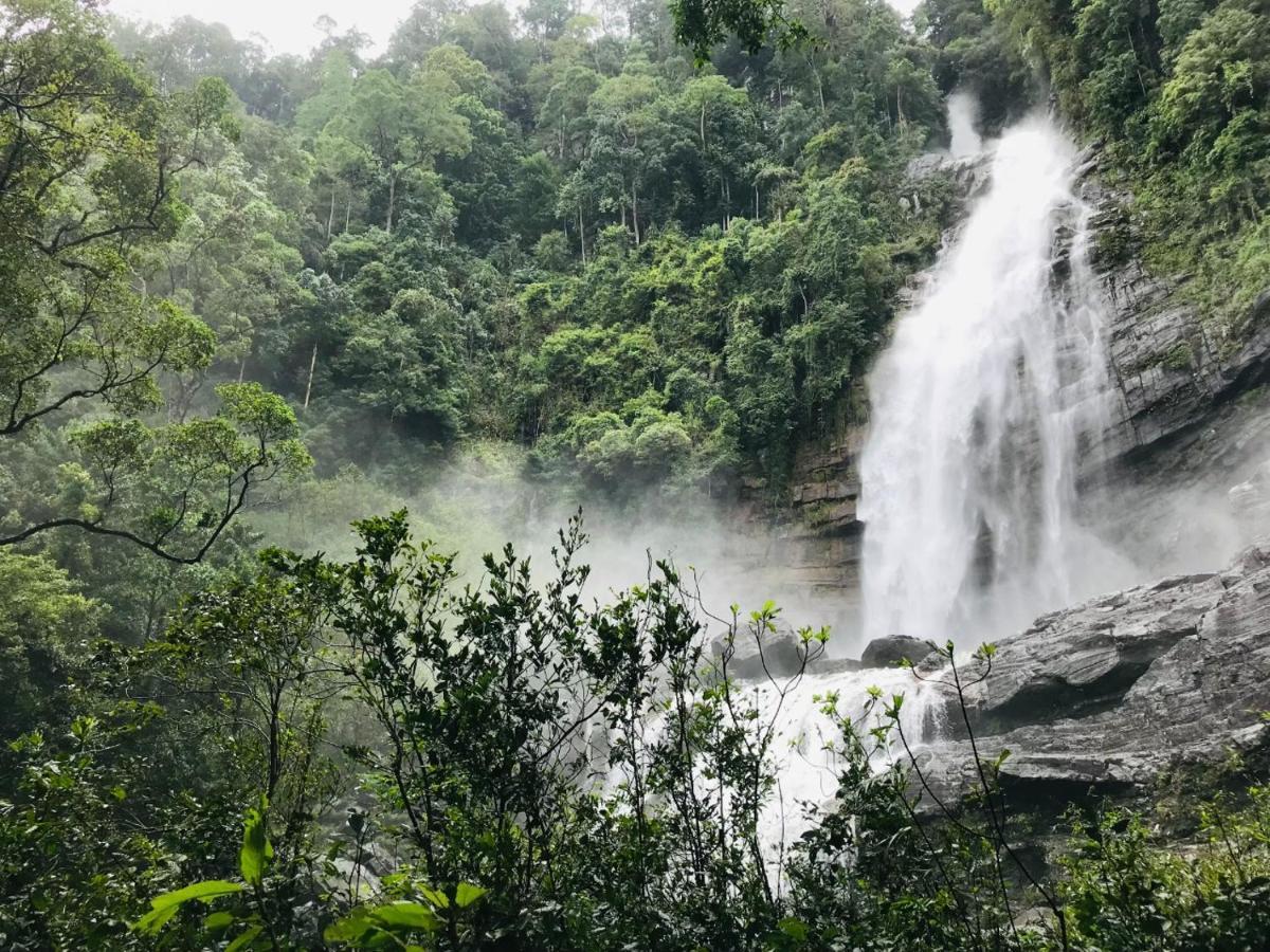 Palabaddala Tea And Eco Lodge รัตนปุระ ภายนอก รูปภาพ
