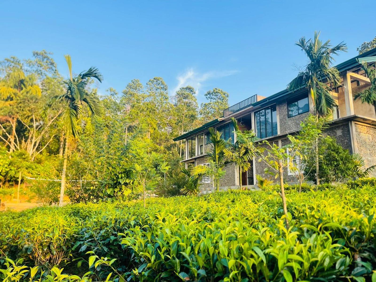 Palabaddala Tea And Eco Lodge รัตนปุระ ภายนอก รูปภาพ