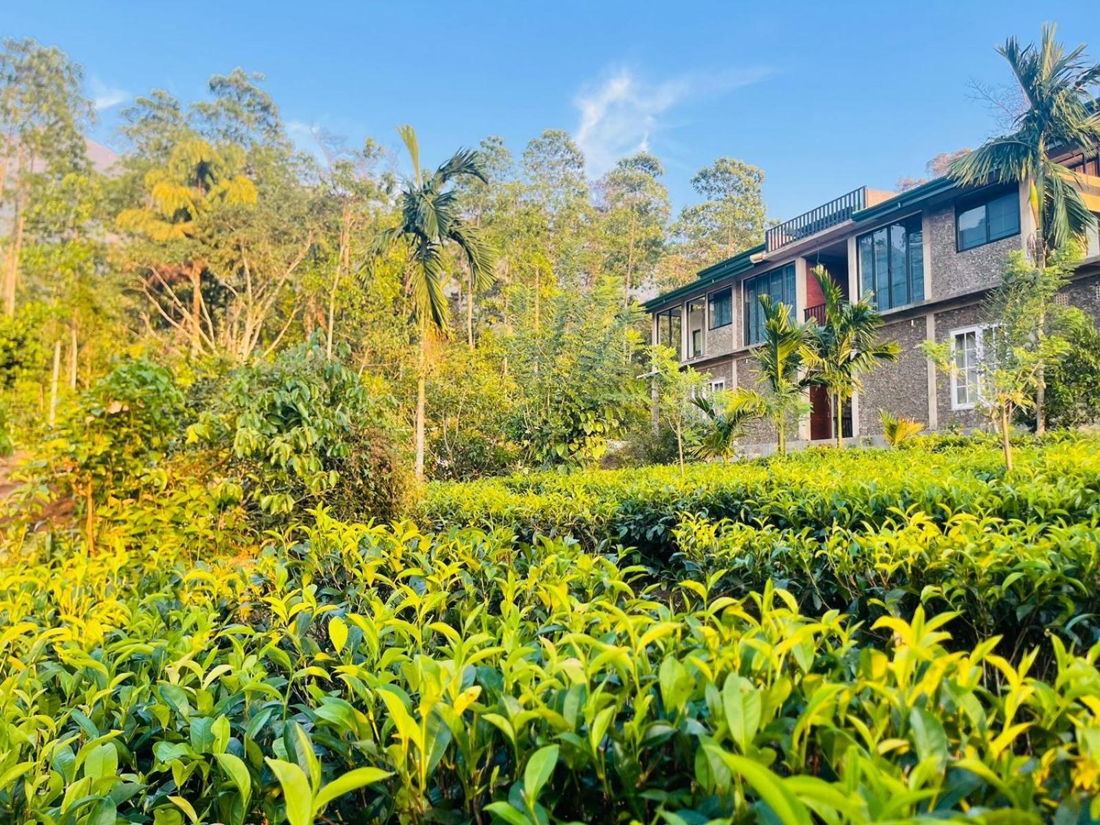 Palabaddala Tea And Eco Lodge รัตนปุระ ภายนอก รูปภาพ