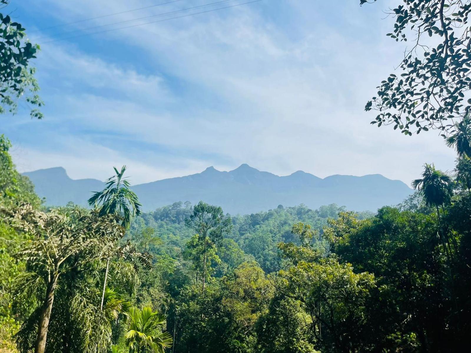Palabaddala Tea And Eco Lodge รัตนปุระ ภายนอก รูปภาพ