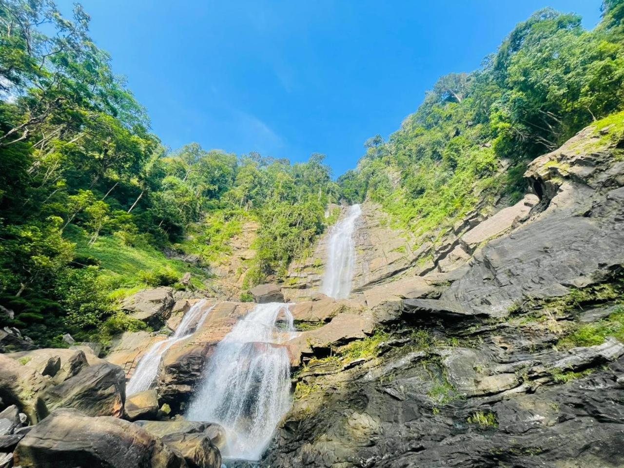 Palabaddala Tea And Eco Lodge รัตนปุระ ภายนอก รูปภาพ