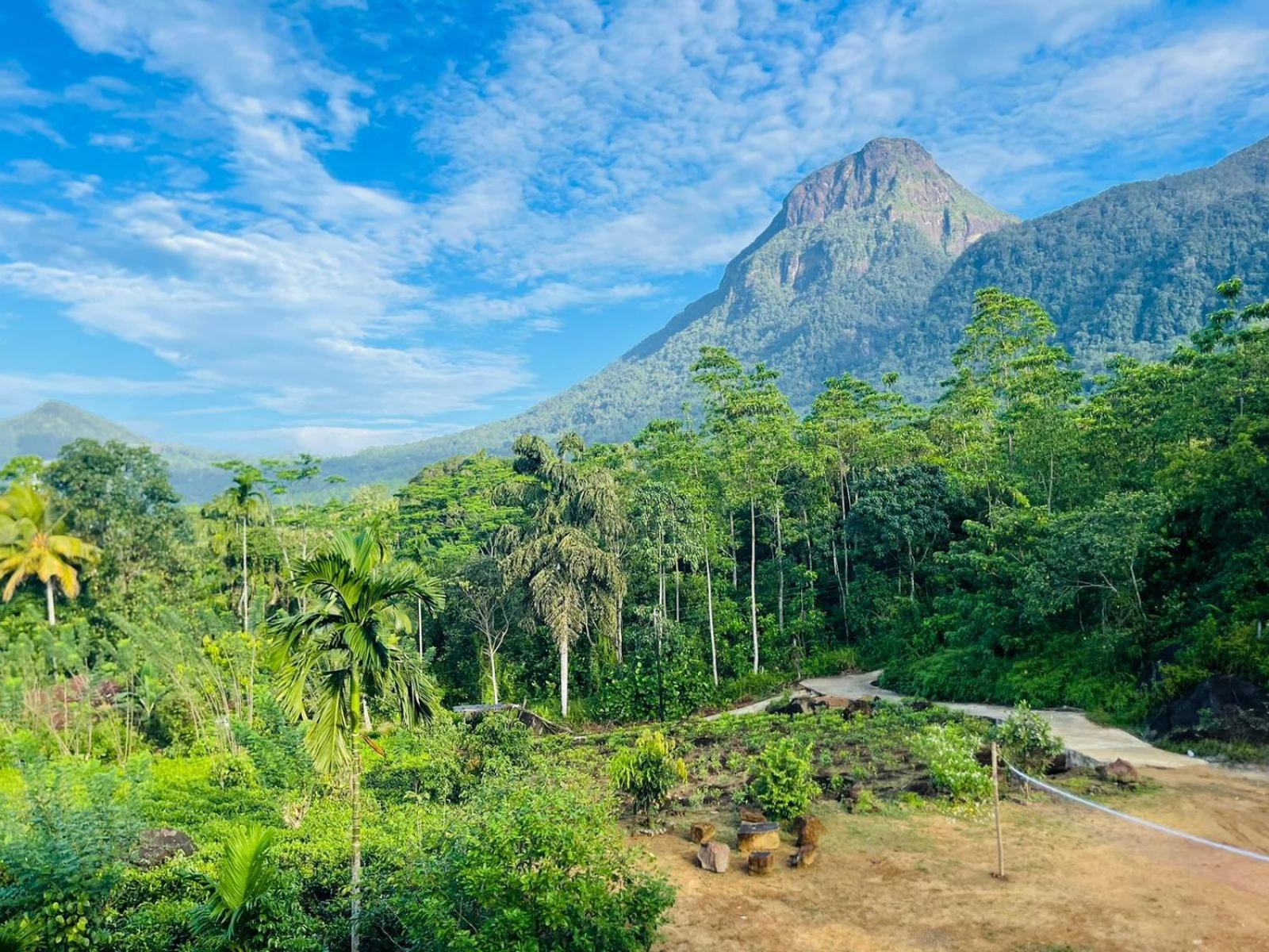 Palabaddala Tea And Eco Lodge รัตนปุระ ภายนอก รูปภาพ